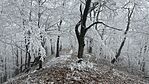 IMG_1178