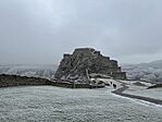 IMG_3947