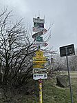 IMG_3958
