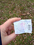 IMG_20250106_122350080_HDR