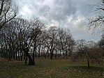 IMG_20250106_122552565_HDR