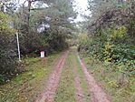 IMG_20241012_105111