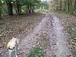 IMG_20241012_110020