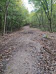 IMG_20241012_120757
