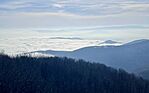 IMG_0234