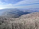 IMG_0236