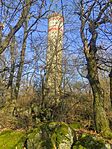IMG_20250125_134041