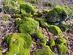 IMG_20250125_134158