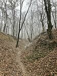 IMG_6291
