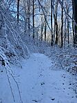 IMG_5242