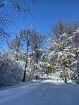 IMG_5244