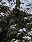 IMG_5240