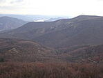 DSC01156