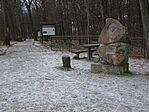 DSC01160