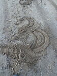 DSC01177