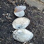 IMG_20250104_152720