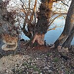 IMG_20250104_153929