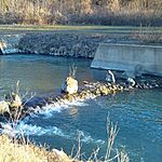 IMG_20250104_145535