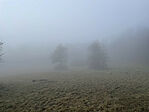 IMG_4377