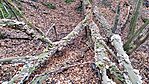 IMG_20250109_104120