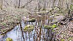 IMG_20250109_110037