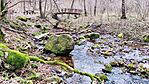 IMG_20250109_110240