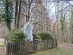 IMG_20250112_112847