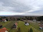 IMG_20250112_121851