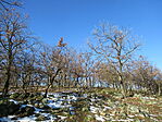 IMG_4788