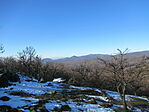 IMG_4800