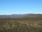 IMG_4802