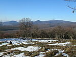 IMG_4818