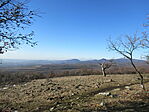 IMG_4824