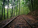 IMG_20170906_162322