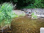 IMG_20190623_140149