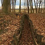 IMG_9828