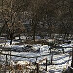 IMG_9855