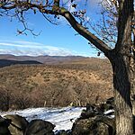 IMG_9867