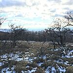 IMG_9874