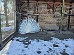 20250104_092424[1]