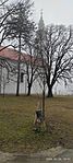 IMG_20250125_100101