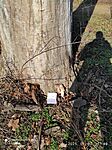 IMG_20250130_114951