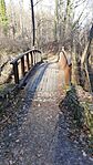 GCVADF_20250114_125252