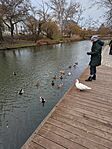 IMG_20250105_124100_702