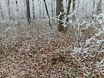 IMG_20250101_090153626_MFNR