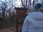 IMG_20250111_125048507_MFNR