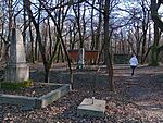 IMG_20250111_125406809_MFNR