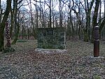 IMG_20250111_125440253_MFNR