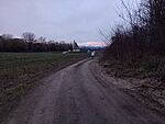 IMG_20250111_161514844_MFNR