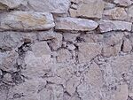 IMG_20250111_162719740_MFNR